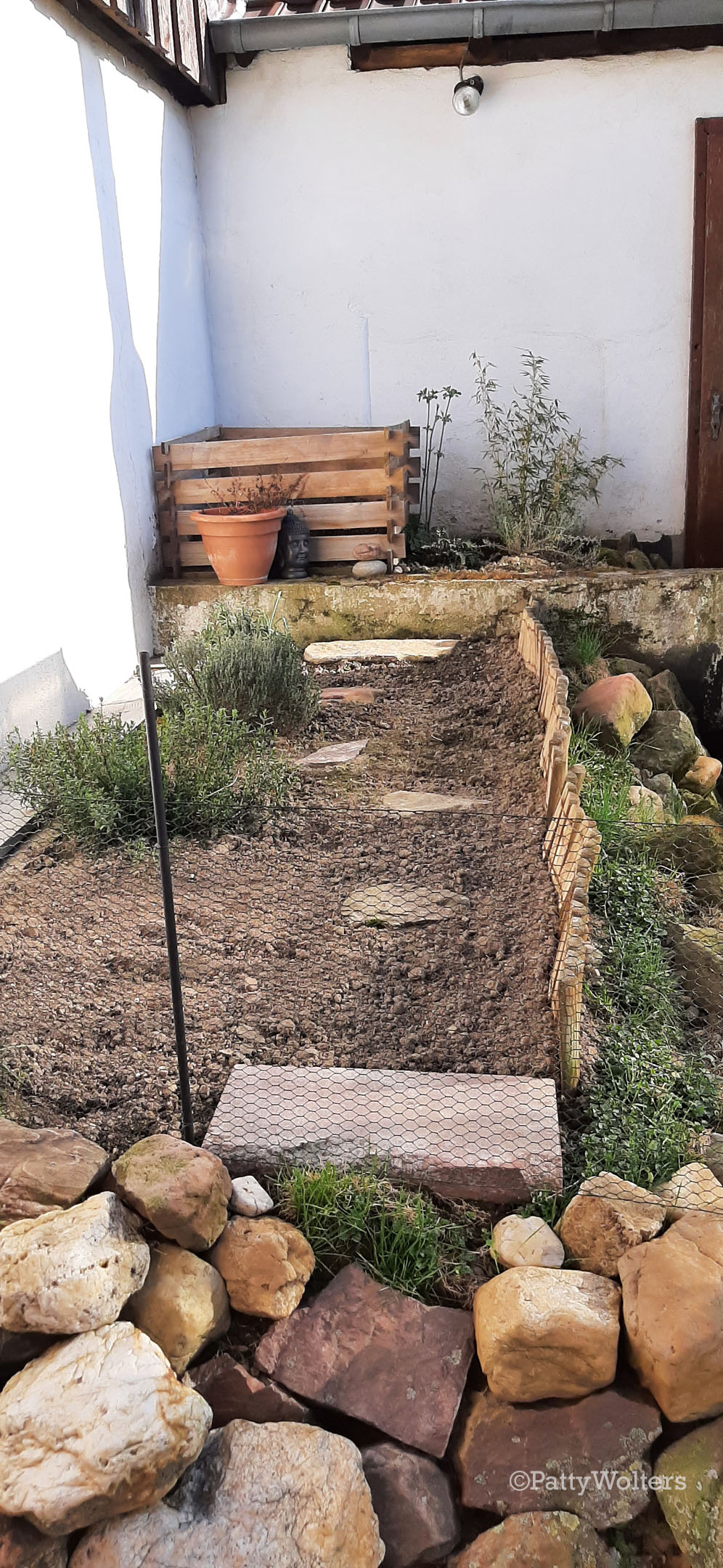 Vegetable plot 2021