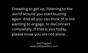 Logo Soul Support June16, 2026 by Patty Wolters