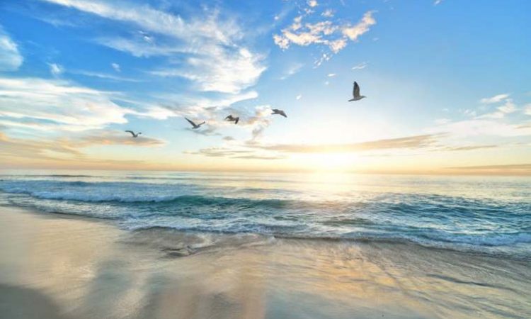 Kindness Challenge Week 6