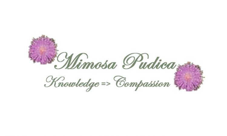 MimosaPudicaKnowledge