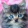 Barbara Grace Lake's avatar